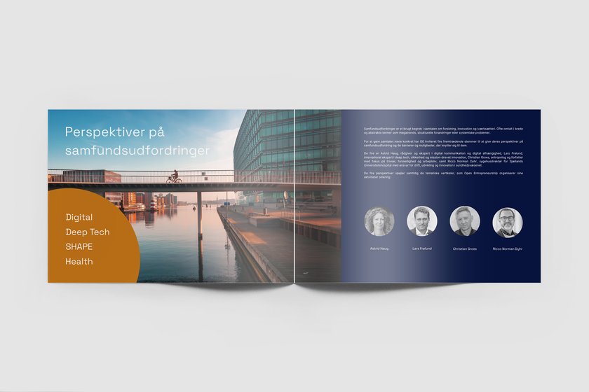 Opslag fra årsrapporten: Perspektiver på samfundsudfordringer